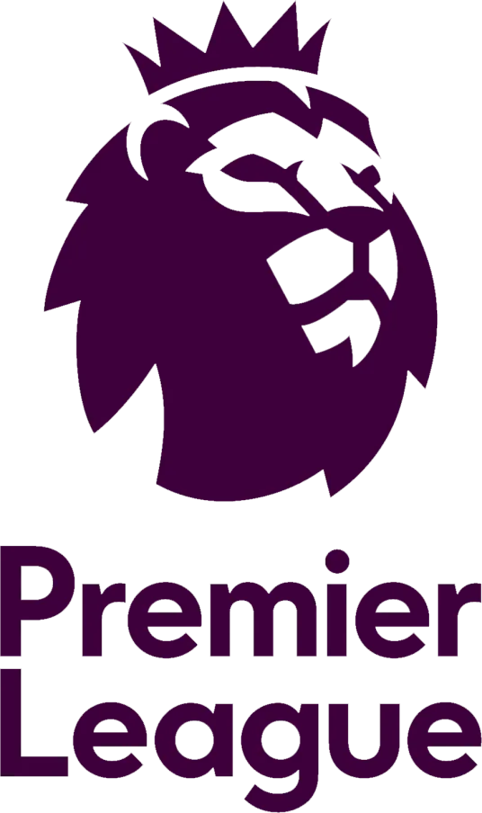 英超 切尔西vs狼队20250121
